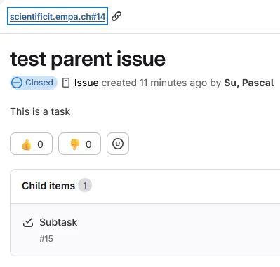 Sub-issue example
